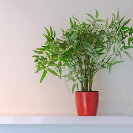 Ter Duinen-1 By Interhome Apartment